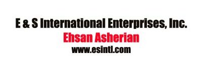 E & S International Enterprises